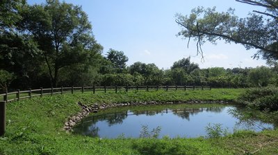 🏞️ 구넨 다리 개울 공원(구넨바시 세세라기 코엔) 이미지 2